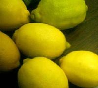 Global B2B directory Global trade lead